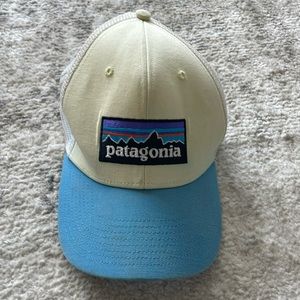 Patagonia trucker hat